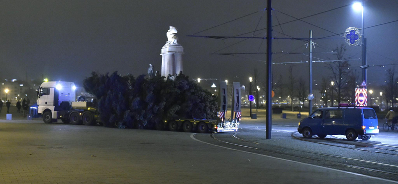 Ezért lett kissé csapzott az ország karácsonyfája