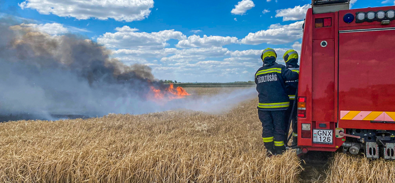 Több hektáron ég a gabona az Alföldön