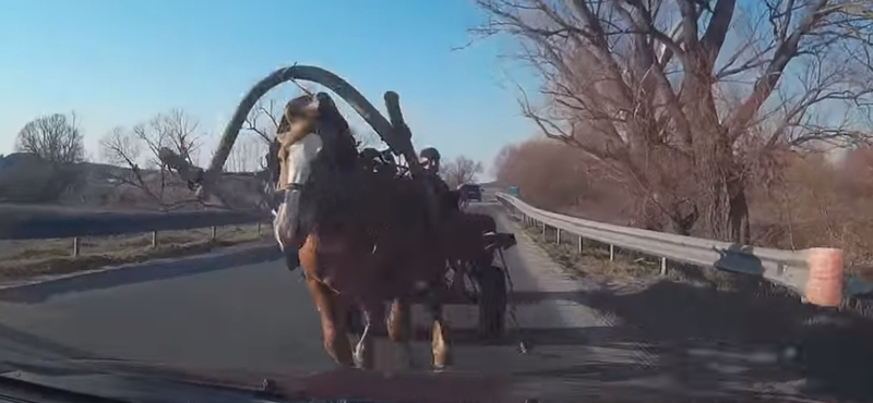 Elég ijesztő, amikor egy lovaskocsi érkezik szemből – videó