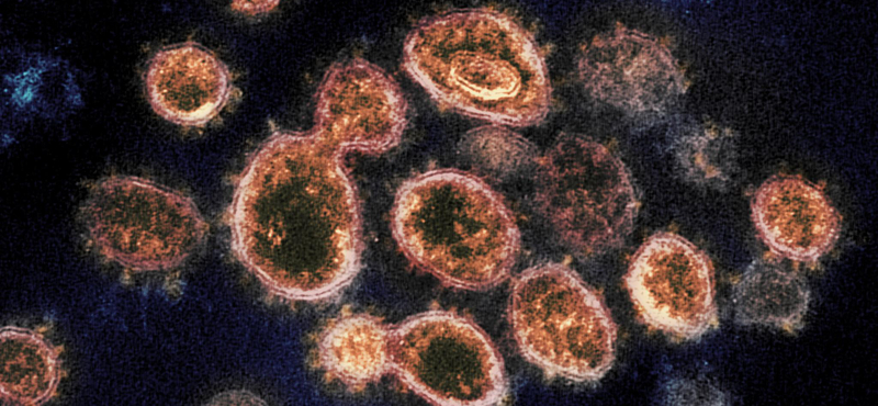 Koronavírus: elhunyt négy beteg, 11 ember fertőződött meg