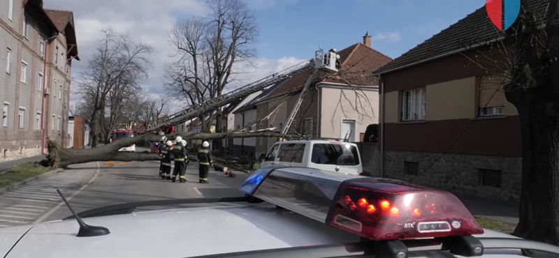 Sopronban lakóházra döntött egy fát a viharos szél, de máshol is akadt dolga a tűzoltóknak – videó