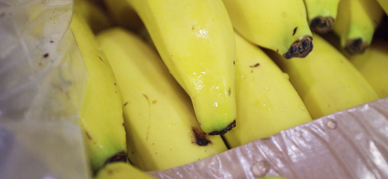 Csempészkokaint találtak a berlini boltosok a nekik kiszállított banánok között