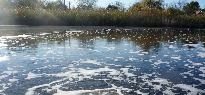 Hatósági engedéllyel szennyezik a szegedi Tisza-holtágat