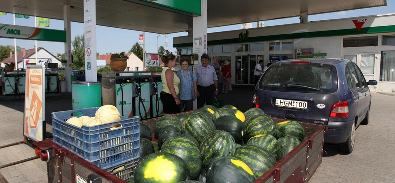 Fogyasztást ösztönző dinnyepiaci szabályozás