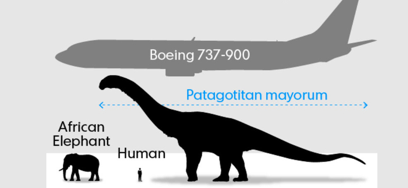 Költözik a világ legnagyobb dinoszaurusza