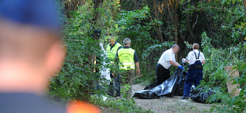 Újabb gyilkosság nyomaira bukkantak a csepeli erdőben