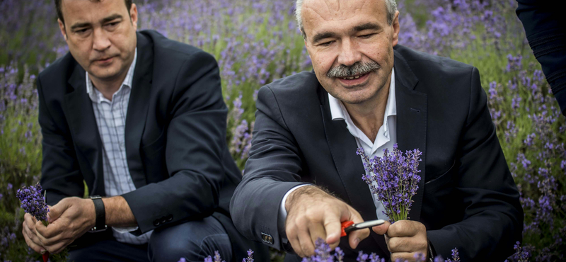 Az agrárminiszter hadat üzent a műhúsoknak