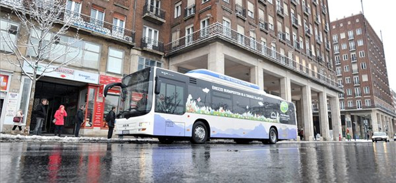 Fotók: Virágmintás, gázüzemű buszokat tesztel a BKV és a Volán