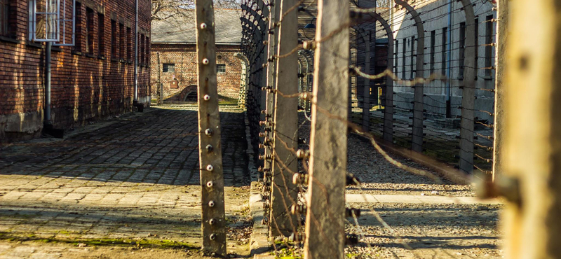 Margaritisz Szhinasz: Auschwitz, az emlékezésen túl