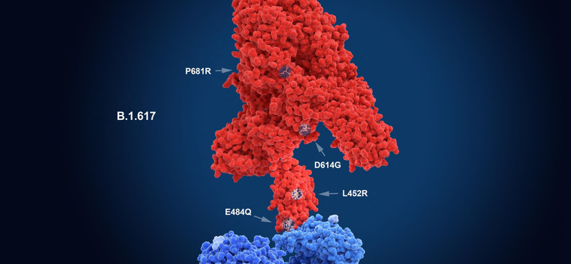 Új kutatás jött arról, mennyit ér a koronavírus elleni oltás a delta variáns ellen