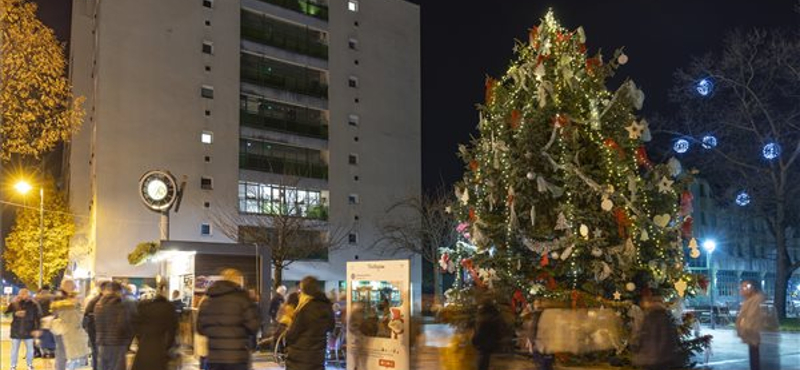 Zalaegerszeg belvárosában is áll már a karácsonyfa – fotók