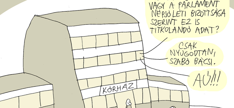 Marabu Féknyúz: Kórházi titkaink