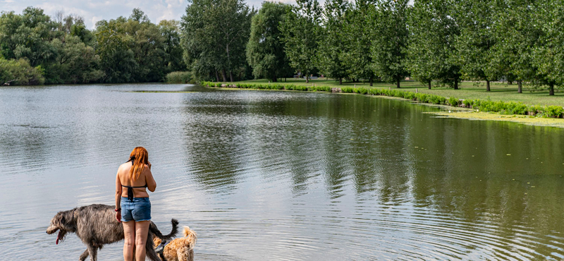 Csak a Tisza-tóból napi egymillió köbméter víz párolog el a kánikulában