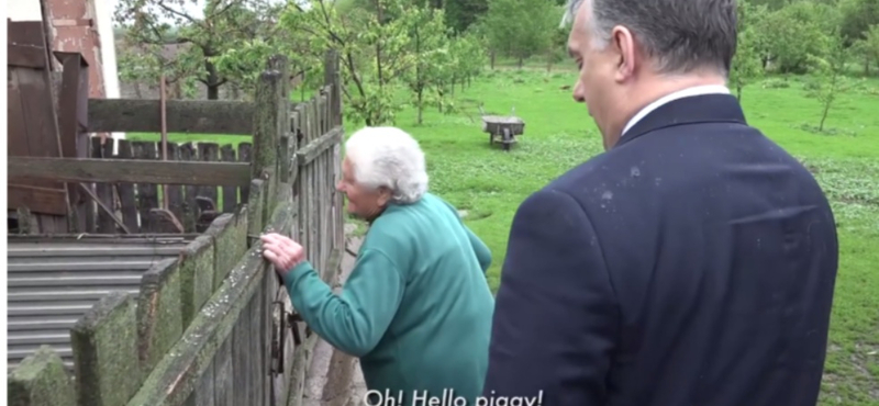 Orbán mindent megtett a röfikért, de a helyzet csak romlott