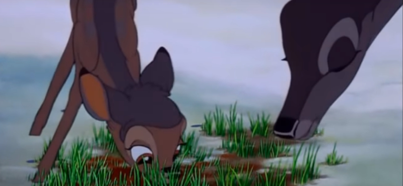 Bambival büntetik az elítélt orvvadászt