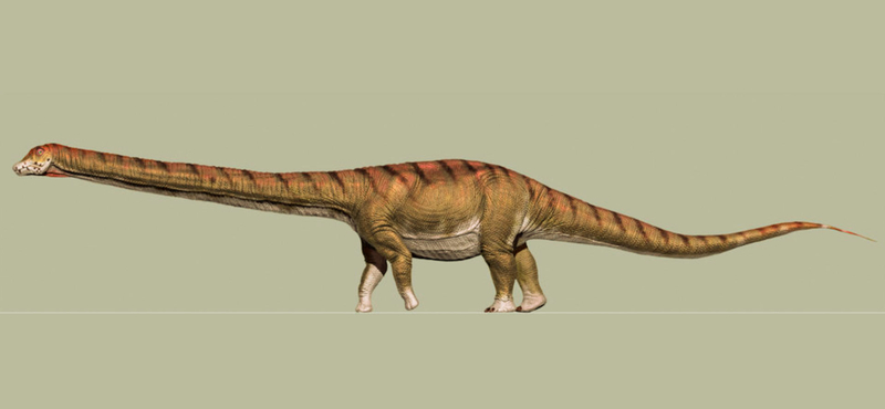 Nyilvánosan "fürdették meg" az 5,8 méter magas, 37 méter hosszú dinoszaurusz-vázat New Yorkban