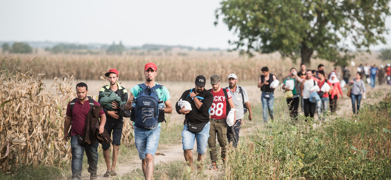 Ezrek jönnek át a horvát-magyar határon - menekültválság percről percre