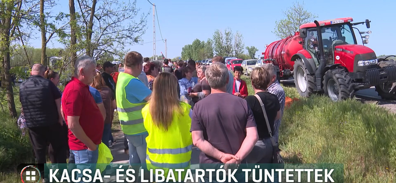 Több száz kacsa- és libatartó tüntetett, szerintük semmit nem ér a kormány intézkedése a madárinfluenza ellen