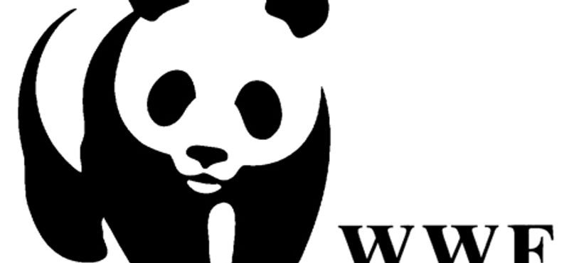 Egy darab brosúrával kalapozik a WWF