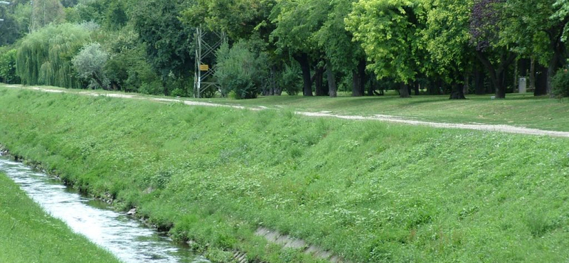 Rendbe szedik a Rákos-patak partját