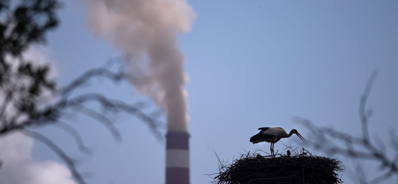 A koszovói vállalkozók lezárták a Pristinába vezető utakat, mert nem kapnak többé államilag támogatott energiát