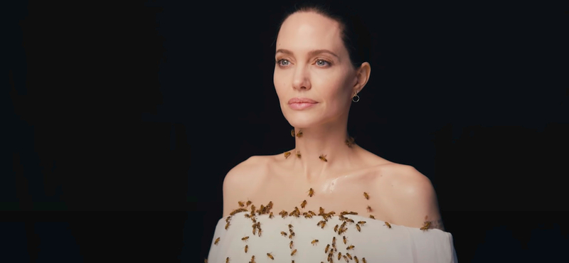 Angelina Jolie-t ellepték a méhek