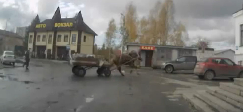 Parkoló terepjárónak rontott egy megvadult ló Oroszországban - videó