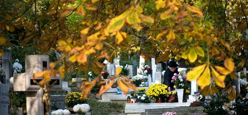 Az erdőben találtak meg egy Törökszentmiklósról eltűnt nőt