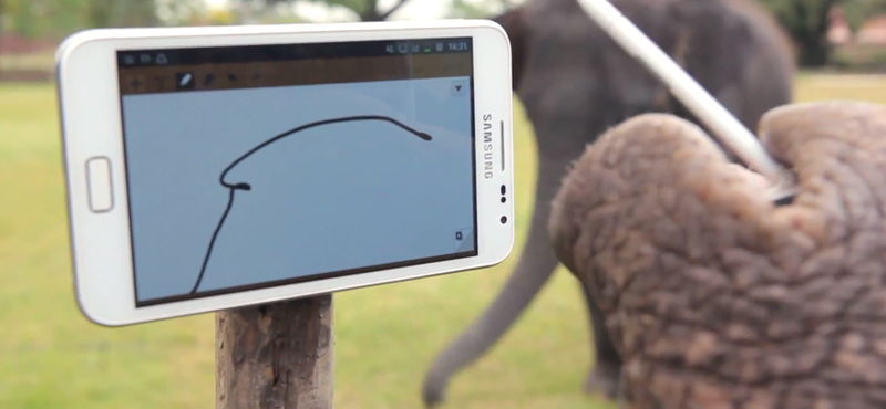 Az elefántok is eljátszanak a Samsung Galaxy Note-tal [videó]