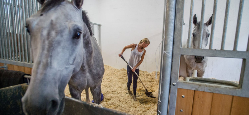 Ilyen lett a majdnem 3 milliárdért felújított Lovarda