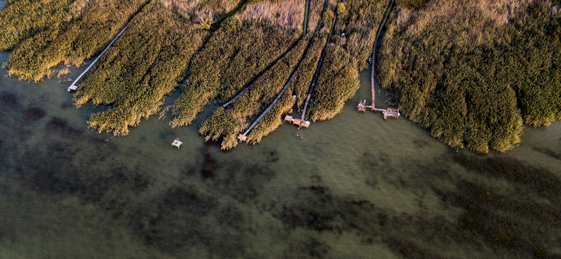 Nincs kockázatuk a Balatonban kimutatott gyógyszerhatóanyag-maradványoknak