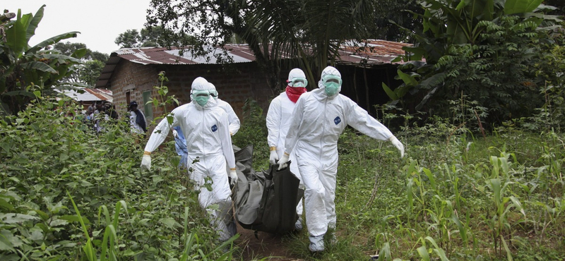 Újra fellángolt, nagyvárosra is átterjedhet az ebolajárváy