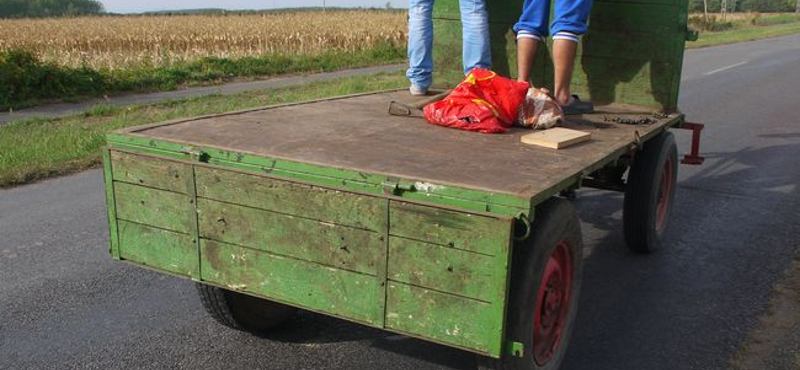 Autó ütközött egy lovaskocsival, elszaladt a ló ijedtében - képek