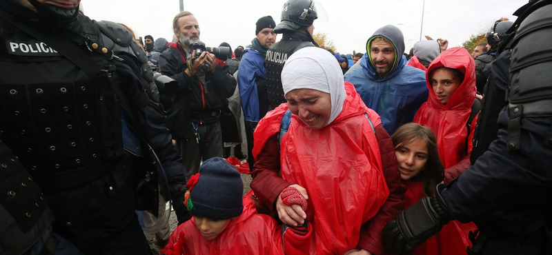 Egyre több migránst szállítanak a szlovén határra a horvátok