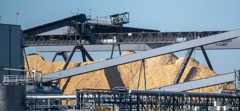 Döntött a holland parlament: kivezetik a biomasszát