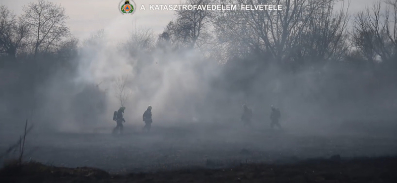 Lángolt a nádas Budapest határán – videón a tűzoltók küzdelme