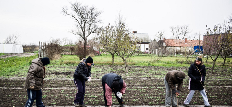 Milyen, amikor a kormány minden hangszeren játszik?