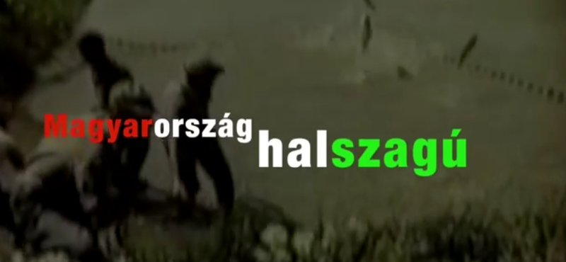 "Magyarország halszagú" - itt az '56-os himnusz tökéletes átirata