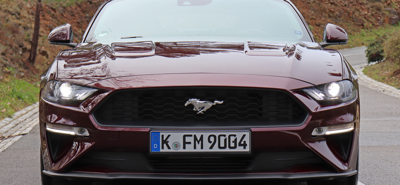 A pécsi köztemetőbe rontott egy Ford Mustang – fotók