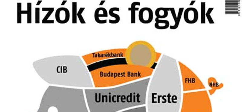 Kinek a kárára nőnek a kormánykedvenc bankok?