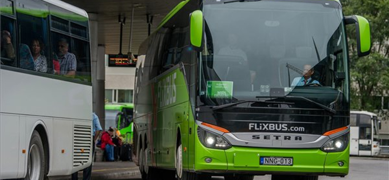 Irodát nyitott Budapesten az olcsó buszjáratok királya