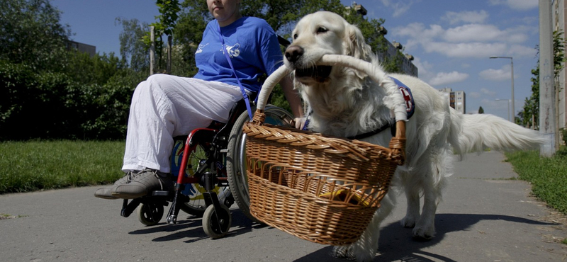 Felülvizsgálják a rokkantnyugdíjasok kedvezményeit