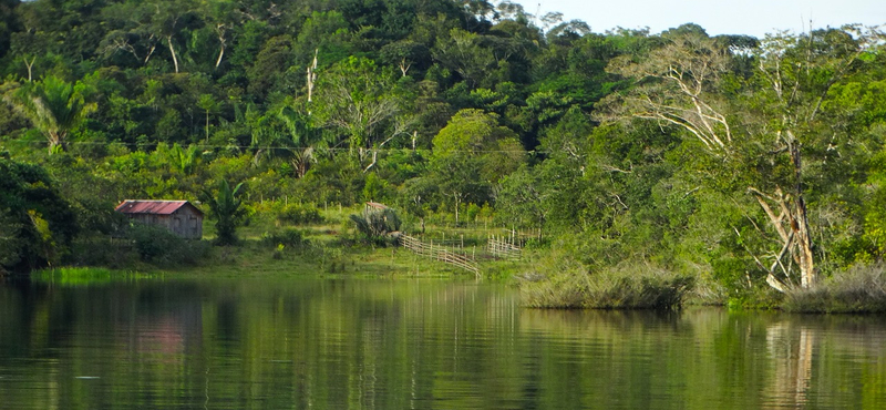 Nős férfiakat is felszentelhetnek, olyan kevés a pap az Amazonas vidékén