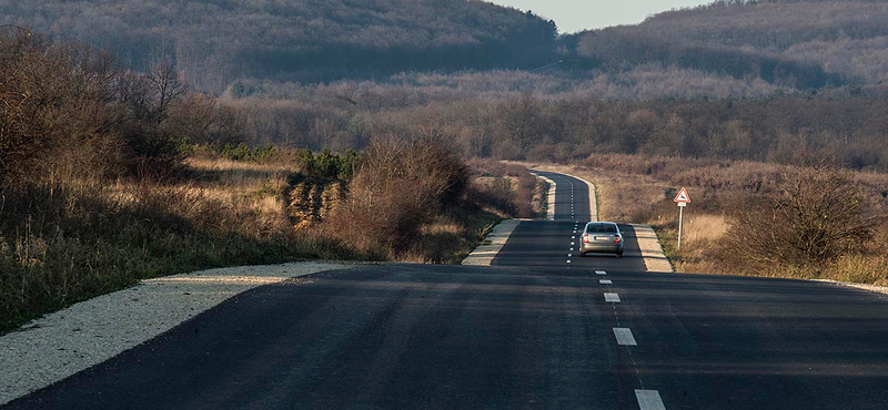 Lovas turizmusba kezdhet Simicska, ha nem lesz képviselő