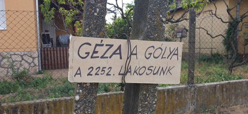 Gézát, a gólyát is a lakosok közé sorolták egy magyar faluban