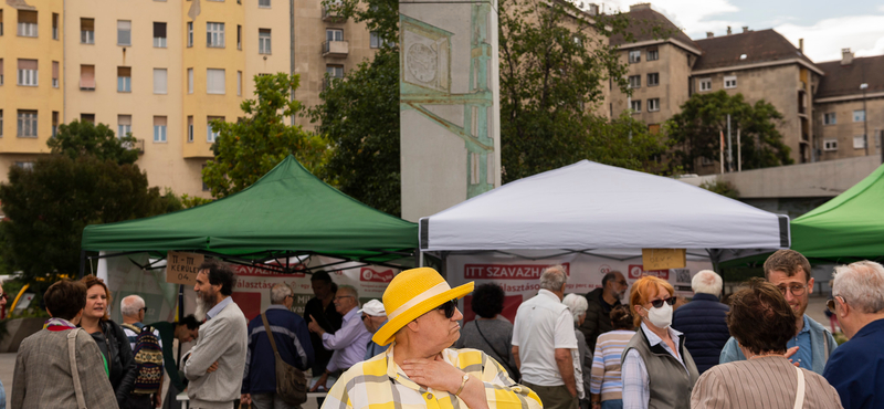 Az ellenzék szerint Kínából támadhatták az előválasztás rendszerét