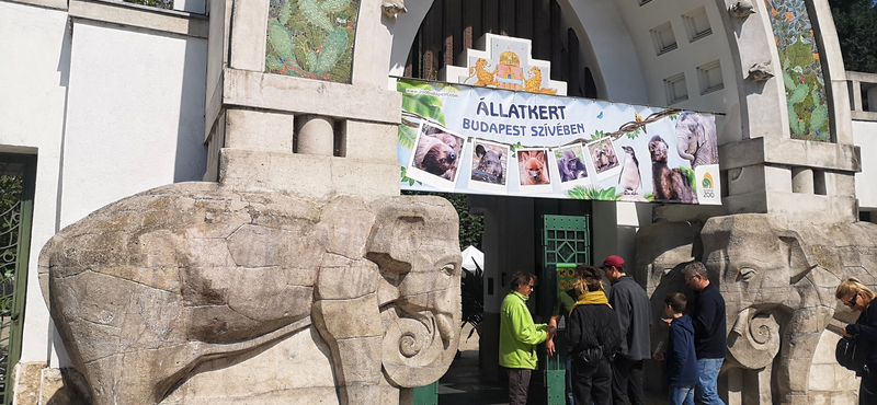 Nem sikerült új főigazgatót találni a fővárosi állatkert élére