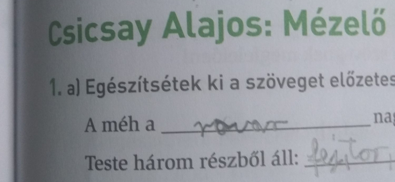 Méhanya vs. méhkirálynő – újabb dicső példa az állami tankönyvkiadásból