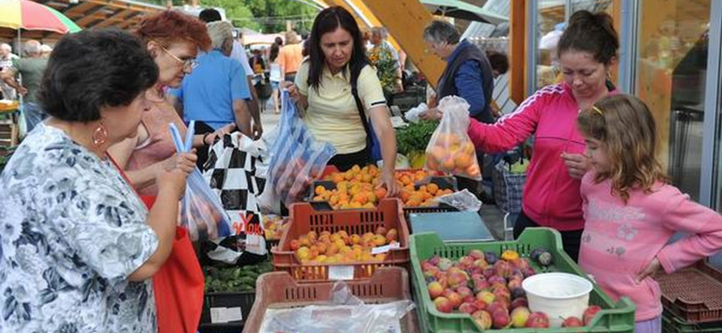 Bedőlt a plazaberuházás Kaposvárott