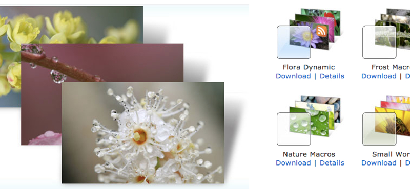 Látványos makrófelvételek Windows témaként [letöltések]